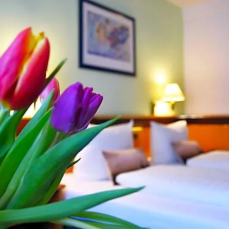 Zum Hirsch Hotel 3*