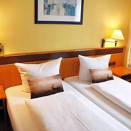 Hotel Zum Hirsch 3*