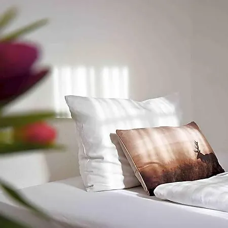 Hotel Zum Hirsch 3*