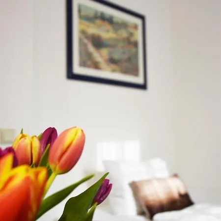 酒店 Zum Hirsch Unterweissbach