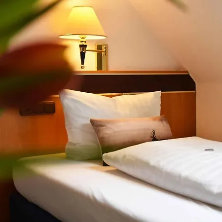 Hotel Zum Hirsch 3*