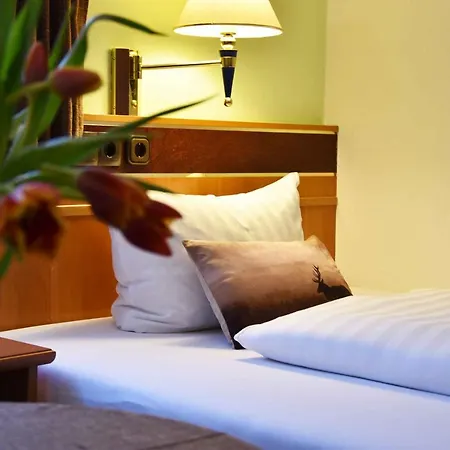 Zum Hirsch 酒店 Unterweissbach