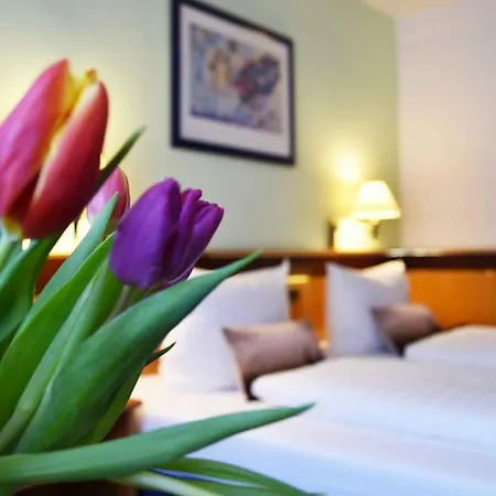 Zum Hirsch 酒店 3*